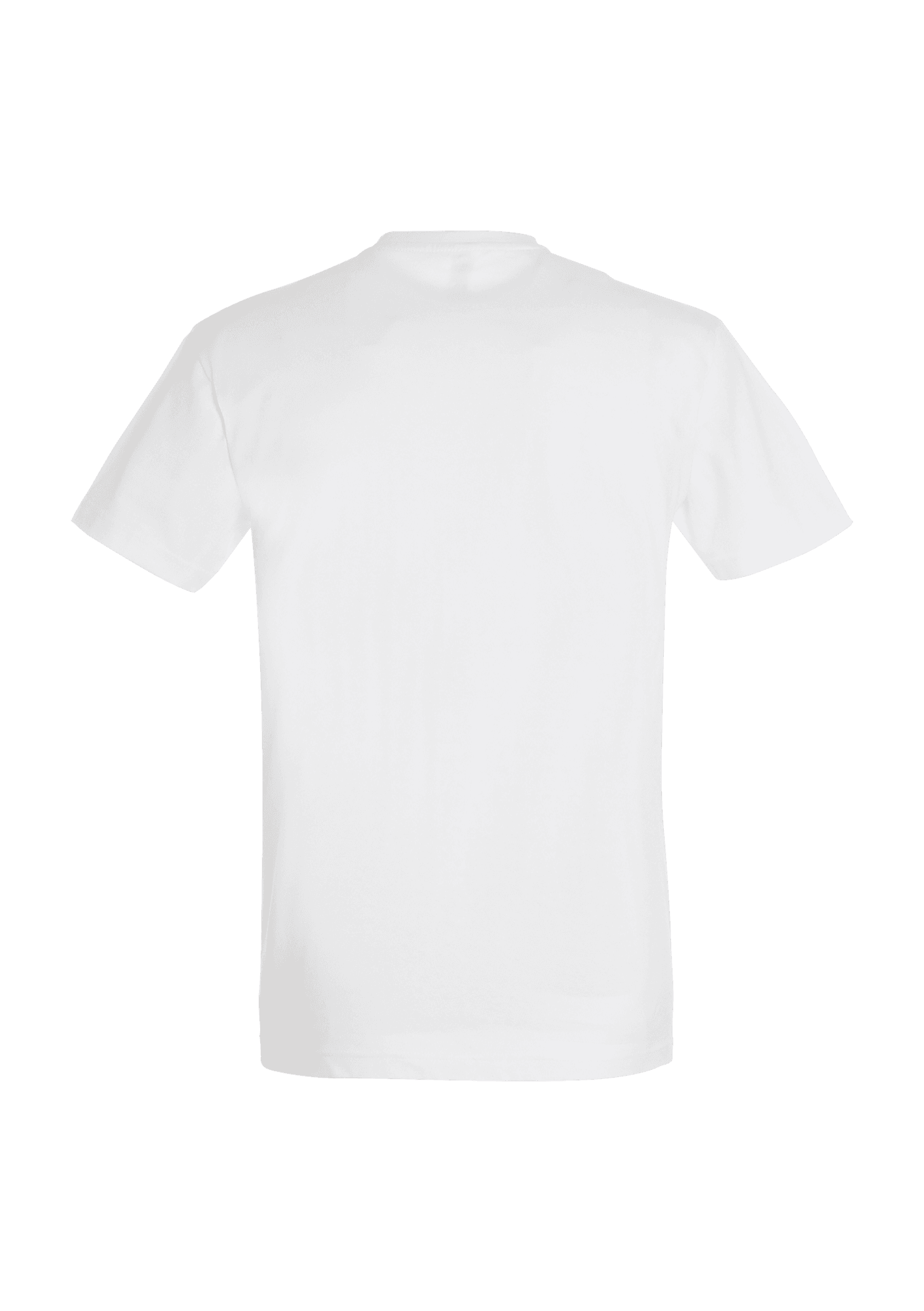 T-shirt Blanc Adulte "Novembre Bleu" 099 Avenir Gymnique des Pins - AGP99-NOVEMBREBLEU-IMPERIALBLANCDOS